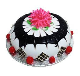 Contemporary Cakes- Wb-3106